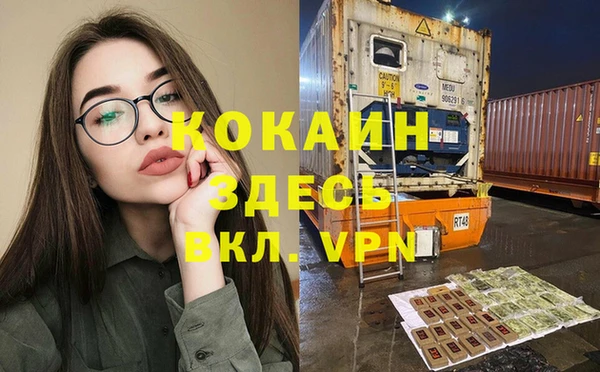 ALPHA PVP Елизово