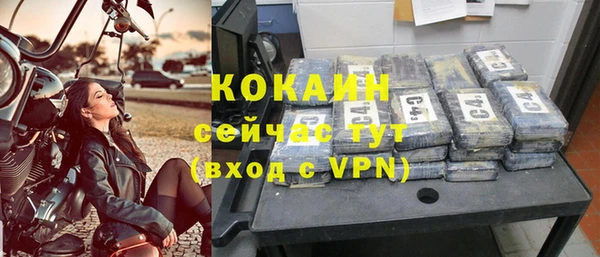 ALPHA PVP Елизово